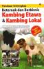 Panduan Terlengkap Beternak dan Berbisnis Kambing Etawa & Kambing Lokal
